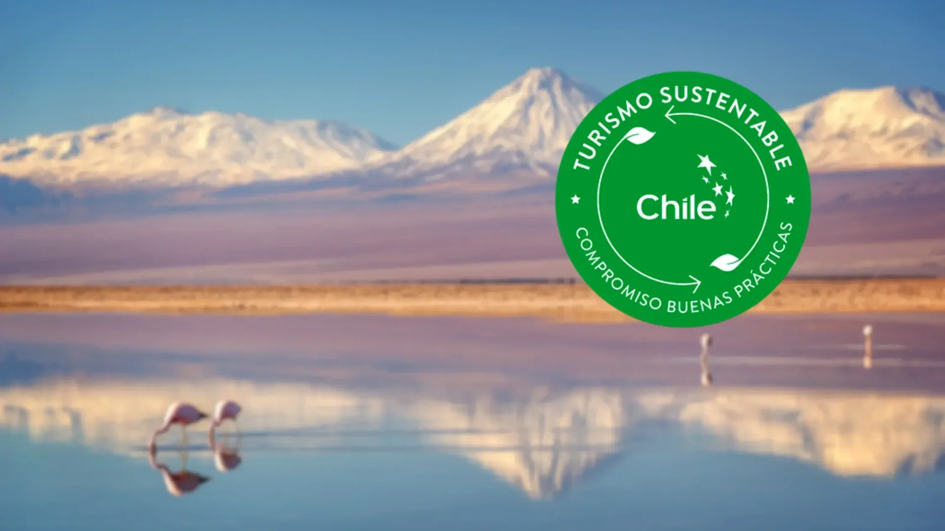 After Ecuador, Quimbaya Latin America has now obtained official certification in Chile for the protection of the country's environment and biodiversity.