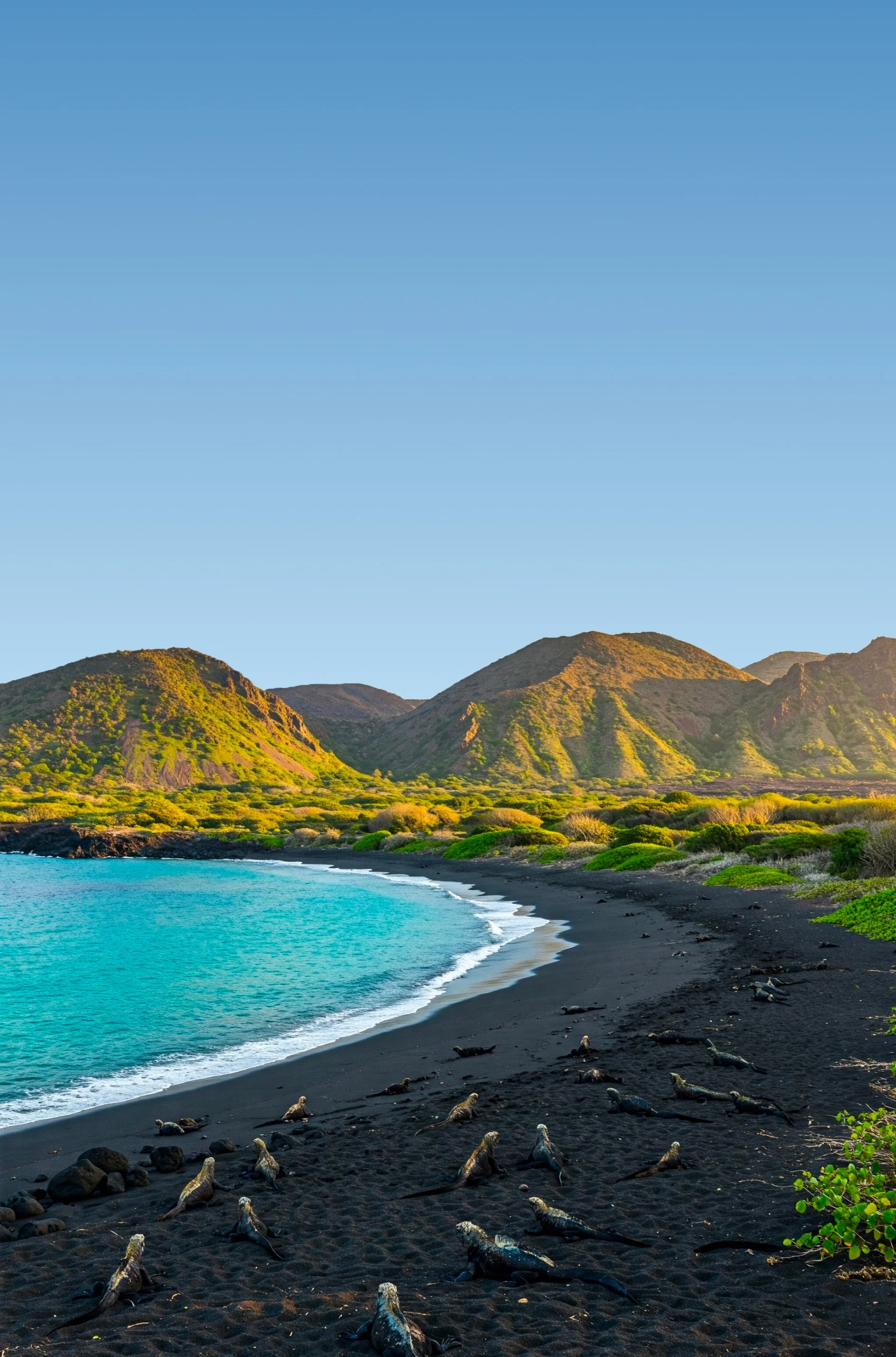 Guaranteed departure trophy