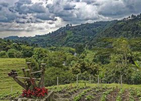 Day 5: Bogota / Armenia