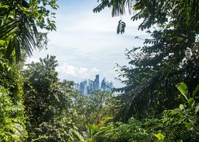 Jour 9: Panama City / OUT