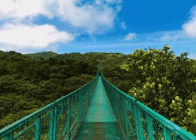 Giorno 9: Monteverde
