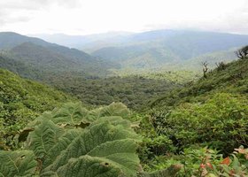 Giorno 8: Rincón de la Vieja / Monteverde
