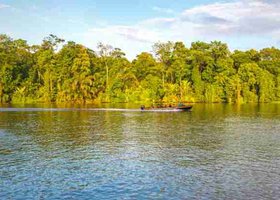 Giorno 2: San José / Tortuguero