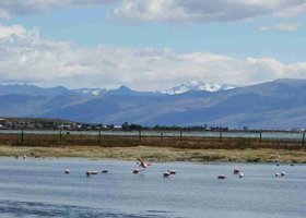 Tag 4: Ushuaia / El Calafate