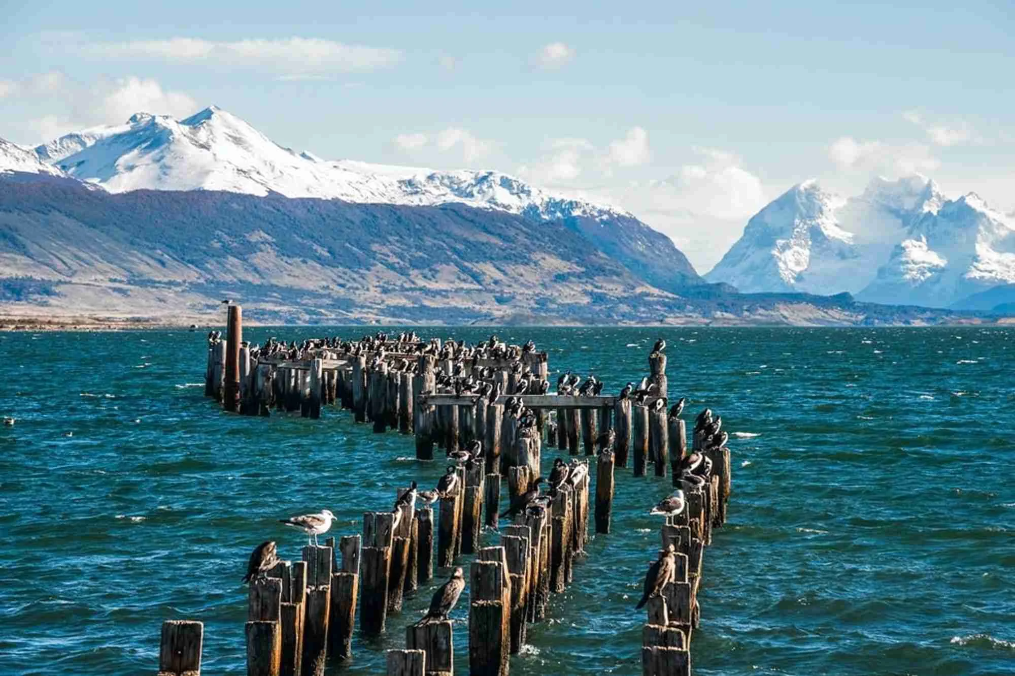 Tag 4: Puerto Natales
