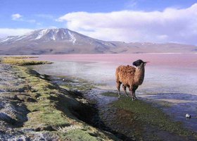 Day 9: Ojo de Perdiz / Laguna Colorada / Laguna Verde / Uyuni