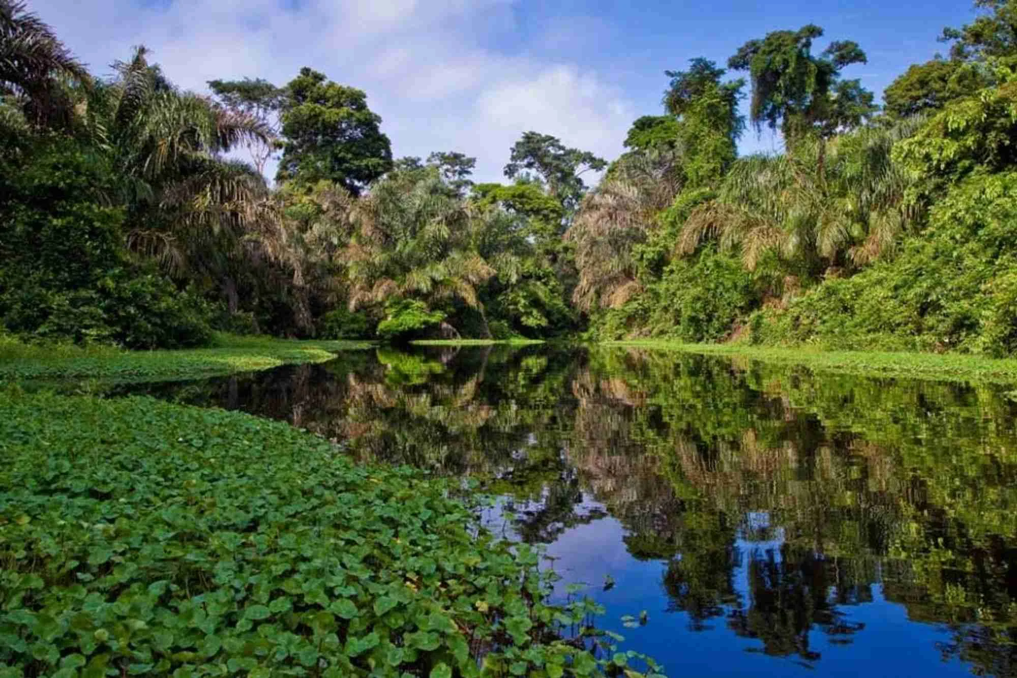 Day 4: Panama City / Rainforest Discovery Center Soberania Park / Panama City