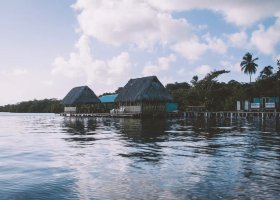 Giorno 7: Bocas: Comunità di Salt Creek