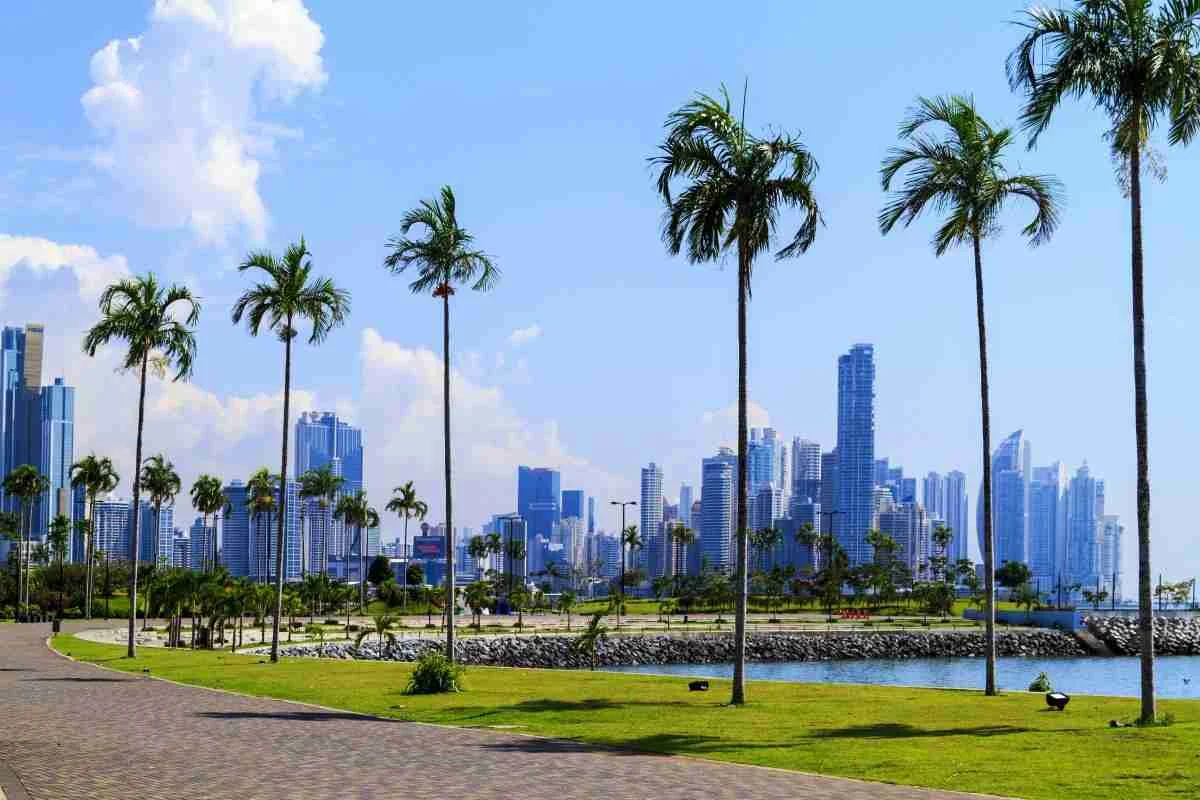Paradiso panamense