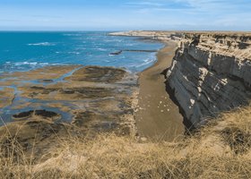 Giorno 3: Puerto Madryn e la penisola di Valdes