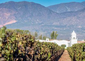 Jour 9: Cafayate / Salta