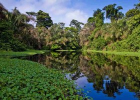 Day 4: Panama City / Rainforest Discovery Center Soberania Park (50min drive)
