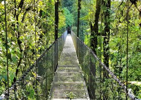 Day 5: Monteverde