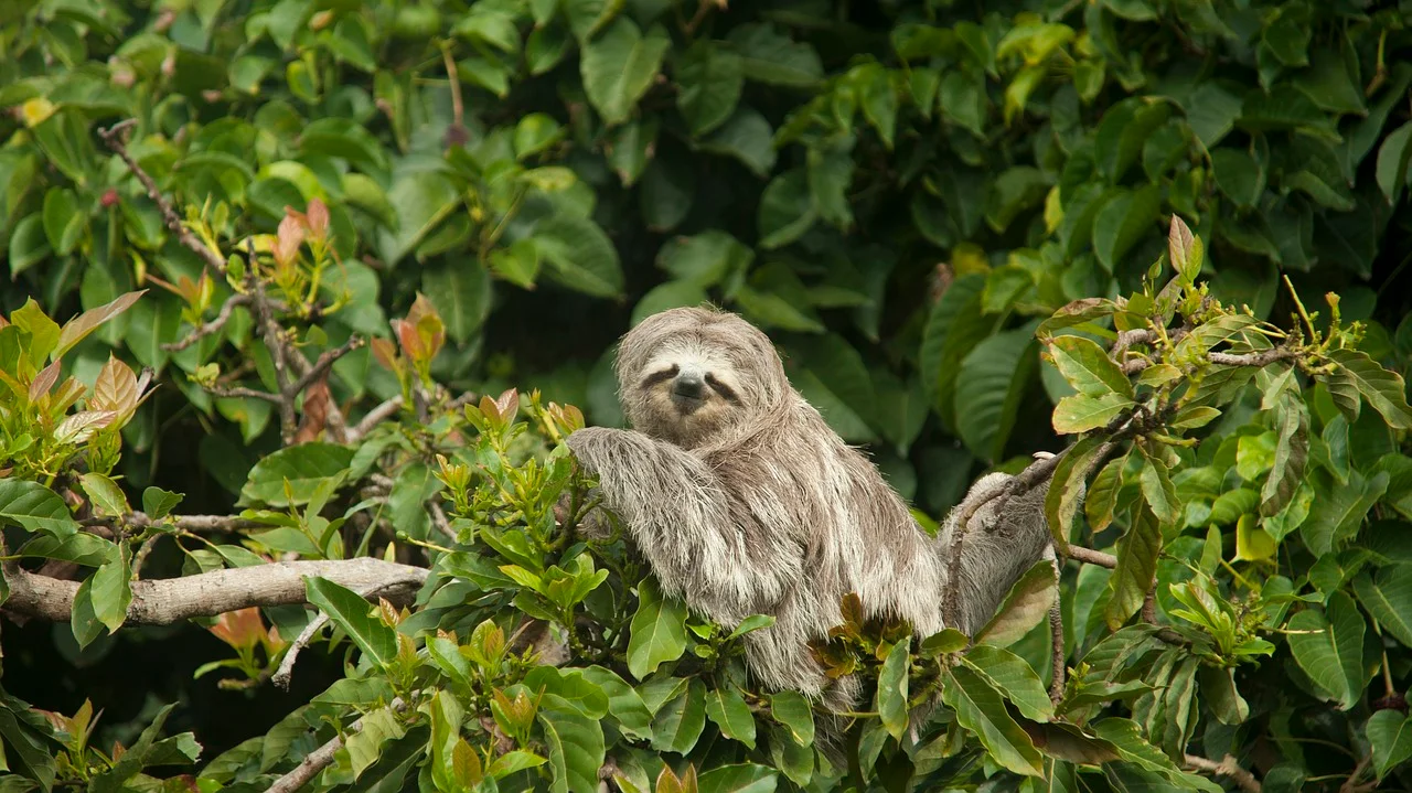 Exploring Costa Rica 2025 (Without flights)