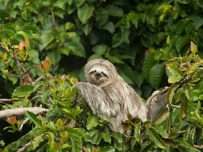 Exploring Costa Rica 2025 (Without flights)