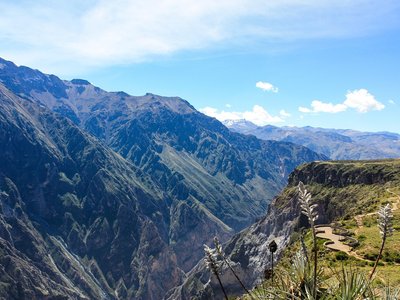 Peru Colca 2025 (Without flights)