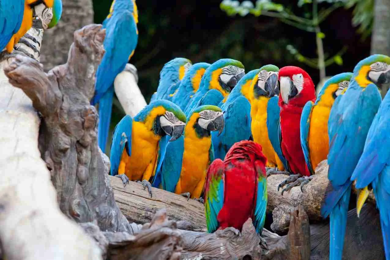 Rendez-vous au Costa Rica 2025 (Sans vols)