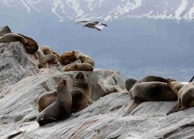 Giorno 3: Ushuaia / Canale di Beagle – El Calafate