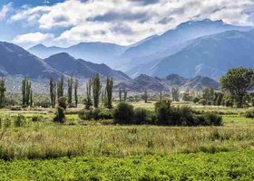 Giorno 8: Cafayate / Cachi / Parque Los Cardones / Salta (5 ore di auto)