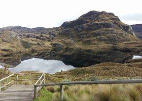 Jour 10: Riobamba / Cotopaxi / Quito (220 km) OUT