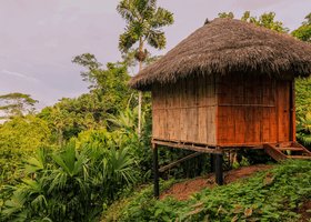 Giorno 6: Amazzonia