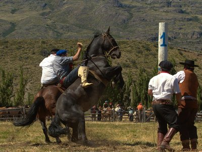 Argentine Essentielle 2026 (Vols inclus)