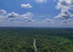 Day 5: Quito / Baeza / Amazon Jungle