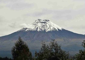 Day 3: Quito / Cotopaxi / Lasso