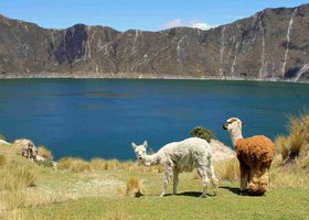 Day 4: Lasso / Pujili / Quilotoa / Quito